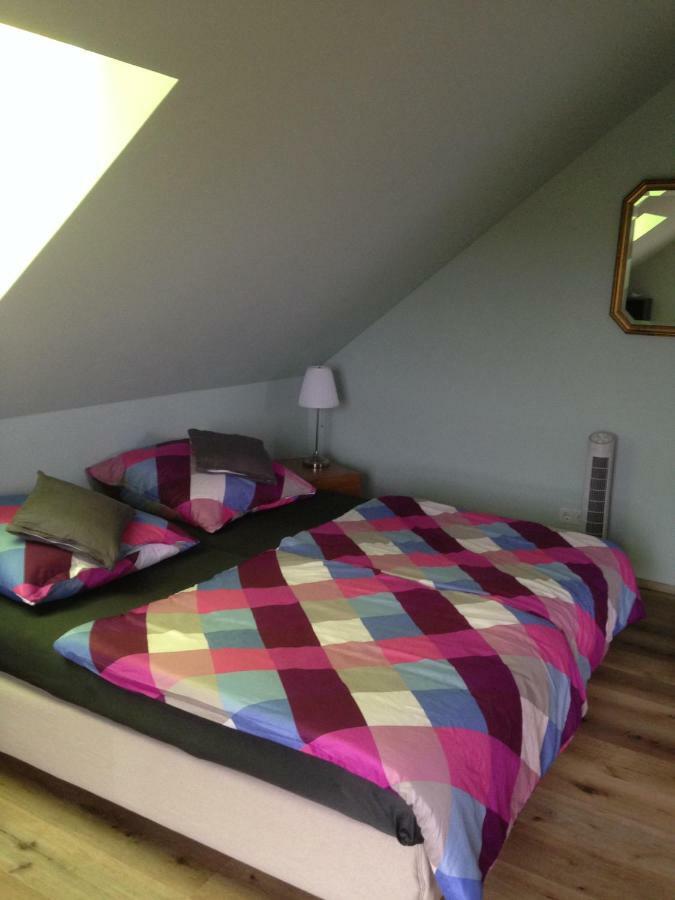 Loreley Bed And Breakfast Bornich Екстериор снимка